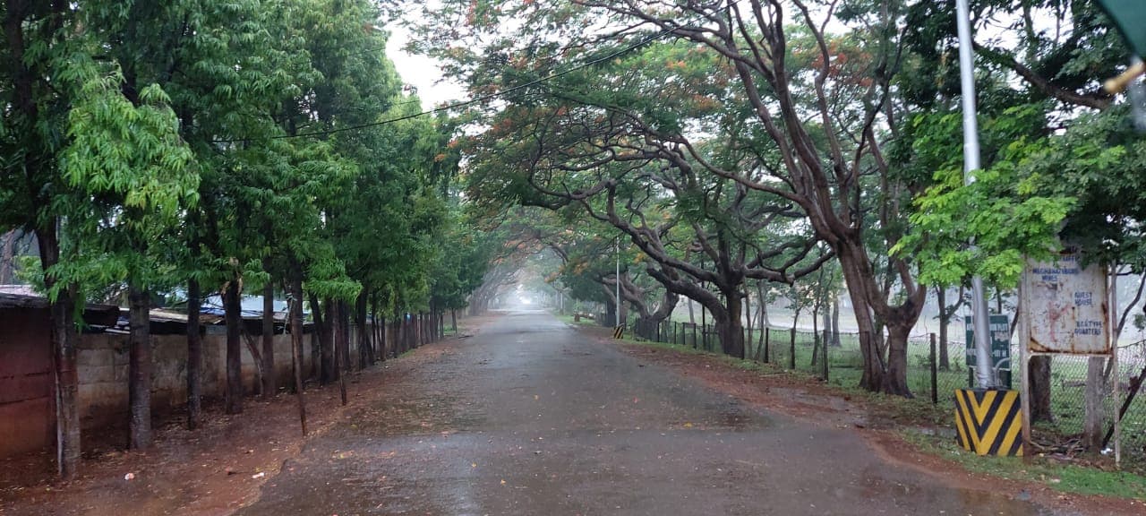 Jharkhand Weather Forecast : झारखंड में आज और कल इन जिलों में भारी बारिश के आसार, अगले पांच दिनों तक ऐसा रहेगा मौसम