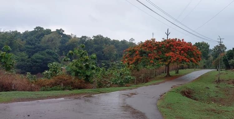 Weather Forecast: झारखंड में तीन व चार नवंबर को गरज के साथ बारिश के आसार, बढ़ेगी ठंड