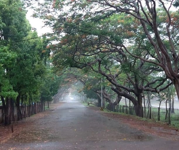 Jharkhand Weather Forecast : झारखंड में फिर बदलेगा मौसम का मिजाज, दुर्गा पूजा में होगी बारिश, कब से लगेगी ठंड