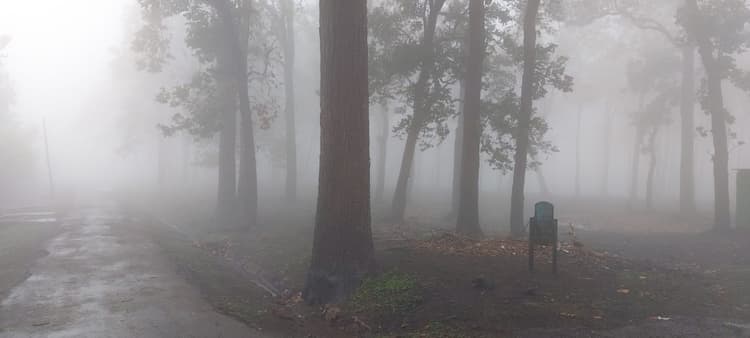 Jharkhand Weather Forecast : झारखंड में कैसा रहेगा मौसम का मिजाज, कब होगी भारी बारिश, पढ़िए मौसम वैज्ञानिकों का पूर्वानुमान