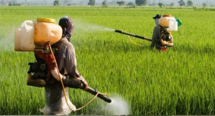 किसानों को बड़ी राहत : नहीं बढ़ेगी खाद की कीमत, सरकार ने कंपनियों से कहा, पुरानी कीमत पर ही बेचें