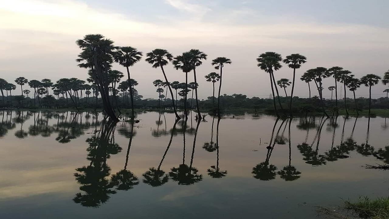 बिहार: सोन, पुनपुन सहित कई नदियों का बढ़ा जलस्तर, एक महीने पहले गर्मी के प्रकोप से सूखने के कगार पर थी नदियां