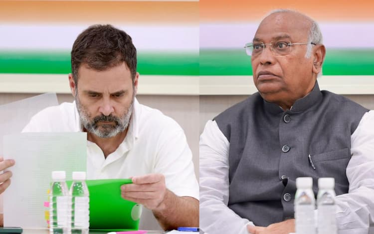 Jammu Kashmir Election: विधानसभा चुनाव से पहले राहुल गांधी और मल्लिकार्जुन खड़गे का जम्मू कश्मीर दौरा रद्द