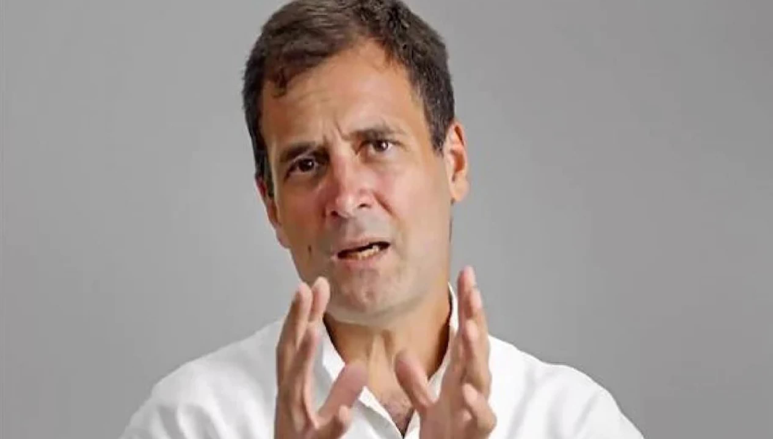 किसान आंदोलन के 100 दिन पूरे : बोले राहुल गांधी जो धैर्य से फ़सल का इंतज़ार करते हैं, वह खराब मौसम से नहीं डरते