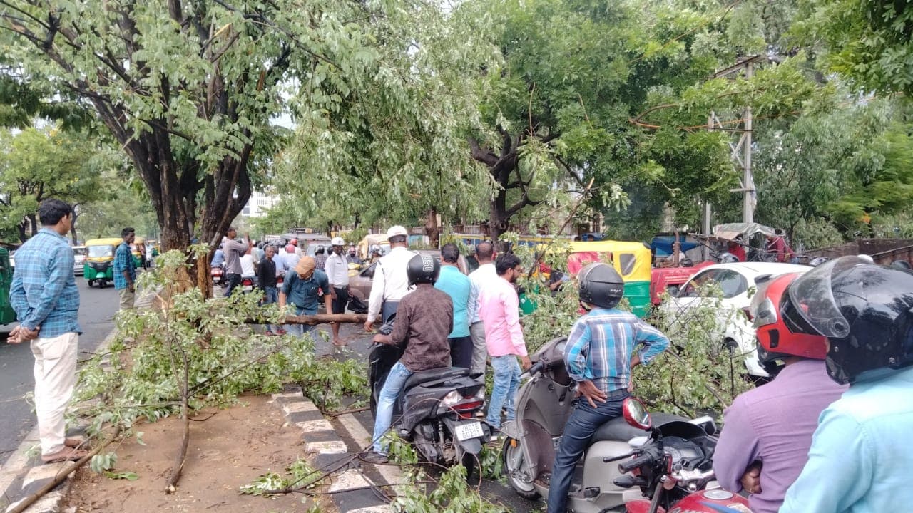 Weather Update: झारखंड में मौसम ने ली करवट, गरज के साथ हुई झमाझम बारिश, आंधी-तूफान ने ढाया कहर Weather Update: झारखंड में मौसम ने ली करवट, गरज के साथ हुई झमाझम बारिश, आंधी-तूफान ने ढाया कहर