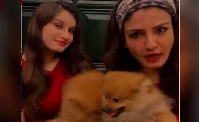 रवीना टंडन ने यश मुखाटे और शहनाज गिल के 'साडा कुत्ता कुत्ता' पर बनाया जबरदस्त VIDEO, क्या आपने देखा?