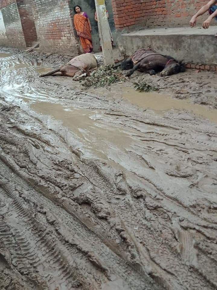 Bihar Election 2020 : बूथ तक जाने के लिए रोड नहीं, कैसे करेंगे वोट? ग्रामीणों की नाराजगी के बाद हरकत में प्रशासन