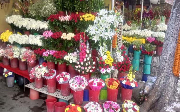 Valentine Week: रोज डे को लेकर सजा रांची का बाजार, जानें कितने में मिल रही एक गुलाब