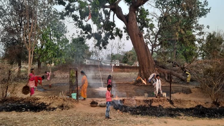 Sarhul 2022: सूर्य व धरती के विवाह का पर्व सरहुल को लेकर उल्लास, शोभायात्रा से पहले पूजा की ये है तैयारी