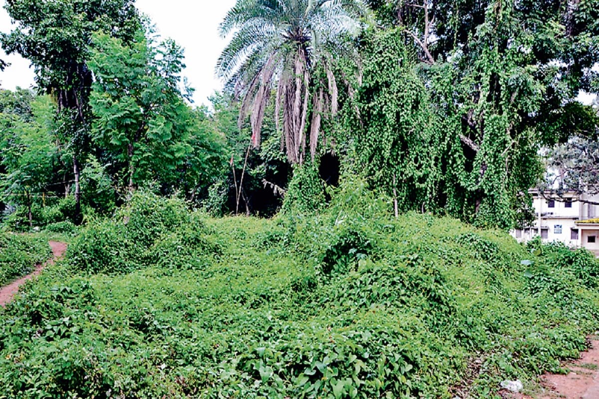 सत्संग करने से मिटने लगते हैं काम-क्रोध आदि दोष