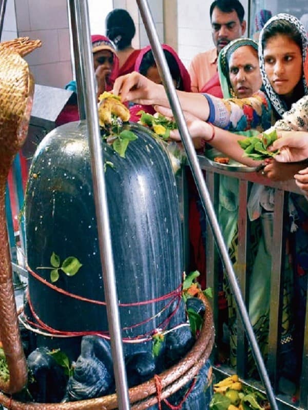 Sawan Somwar: भगवान शिव को प्रिय हैं ये 7 फूल, सावन सोमवार को चढ़ाने से महादेव होंगे खुश