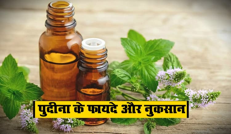 पुदीना इन लोगों को बिल्कुल भी नहीं लेना चाहिए, जानिए कैसे नुकसान पहुंचाती है मिंट?