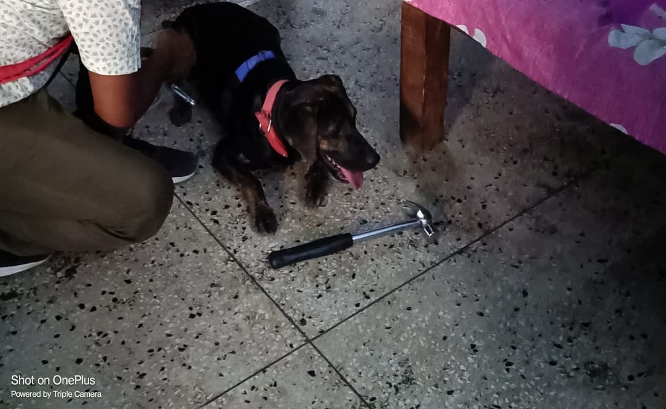 पटना की CID कॉलोनी में चोरी, सीएम सुरक्षा में तैनात जवान के घर से लाखों के जेवरात व अन्य सामान उड़ा ले गए चोर