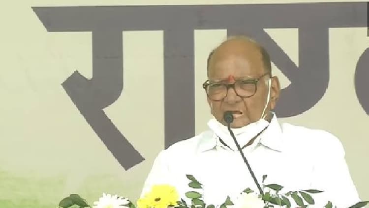 धौनी को कैसे मिली टीम इंडिया की कप्तानी, शरद पवार ने किया बहुत बड़ा खुलासा