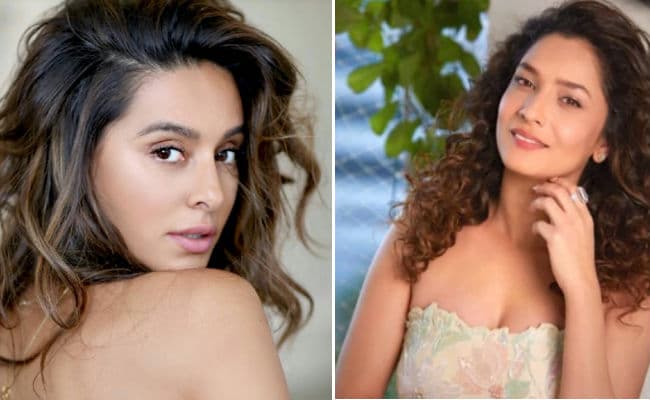 'जितनी नफरत तुम्हारे अंदर भरी है...', अंकिता लोखंडे पर भड़कीं शिबानी दांडेकर, याद दिलायी ये बात