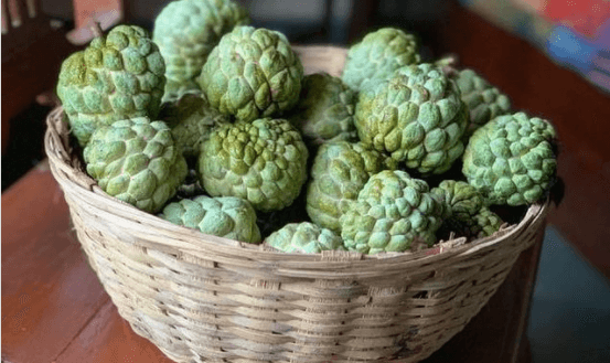 Sitaphal को लेकर प्रचलित हैं कई मिथक, न्यूट्रिशनिस्ट रुजुता दिवेकर ने बताए ये Fears and Facts