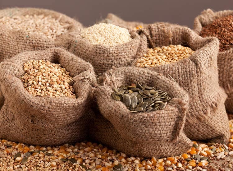 रेडक्रॉस को अनाज मुहैया करायेगा बरवाअड्डा मंडी चेंबर