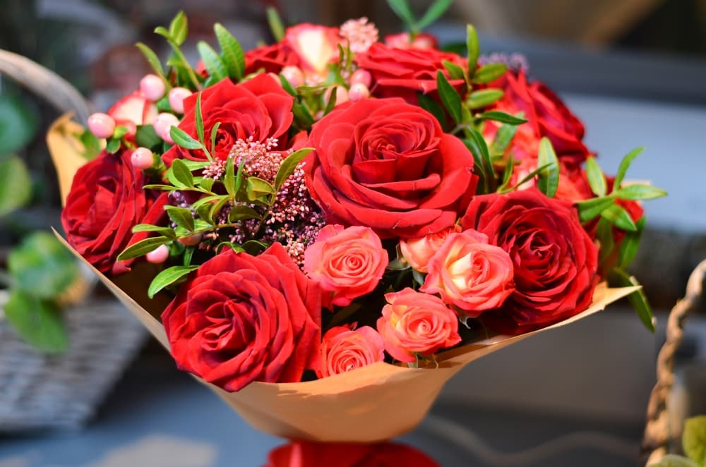 Rose Day 2023: प्यार करने वाले अपने पार्टनर को देते हैं ये खास गुलाब, झारखंड में खूब है इसकी डिमांड