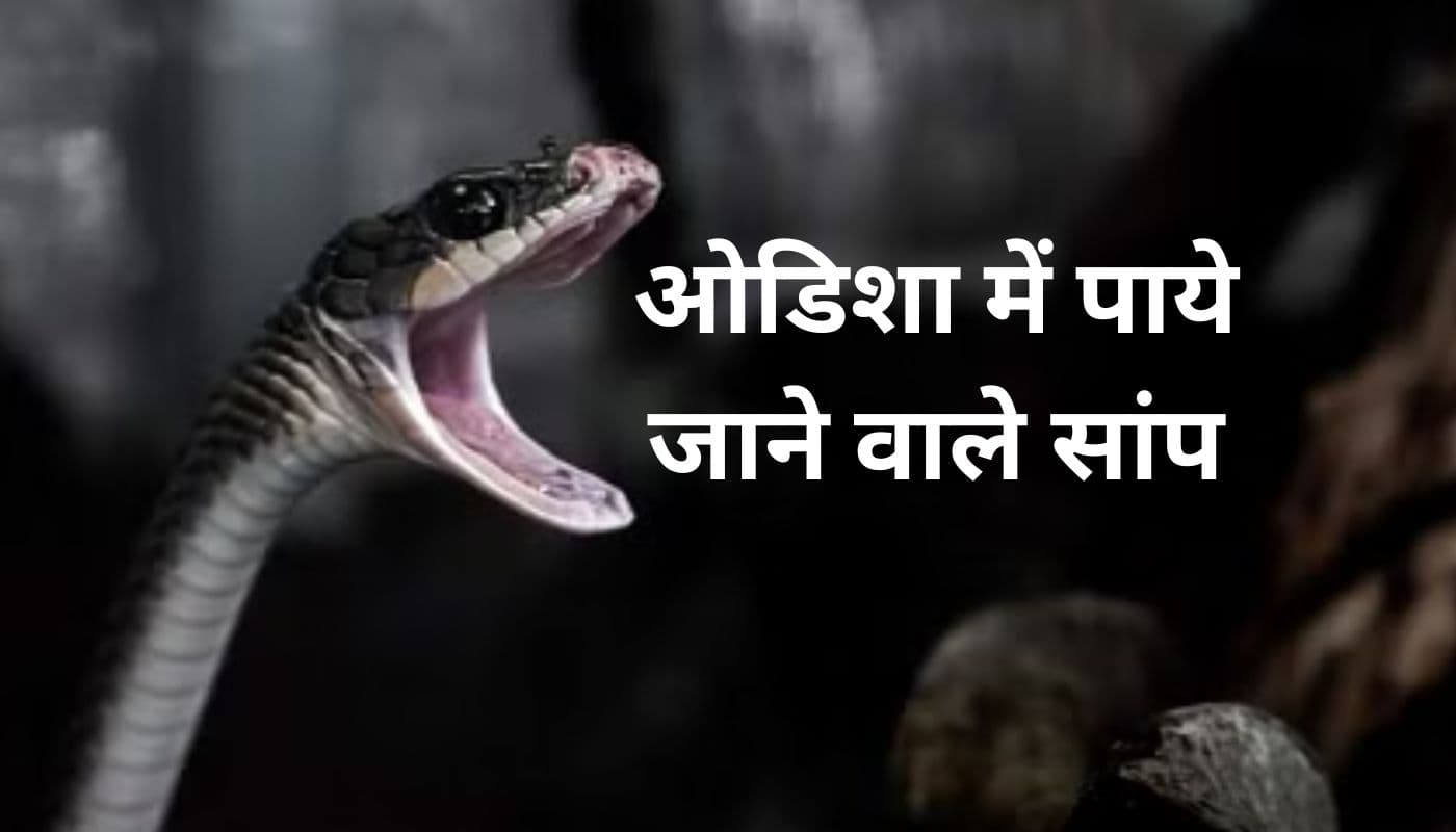 टाटा स्टील माइनिंग ने ओडिशा में सांपों के संरक्षण के लिए चलाया जागरूकता अभियान