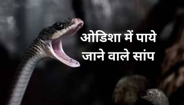 टाटा स्टील माइनिंग ने ओडिशा में सांपों के संरक्षण के लिए चलाया जागरूकता अभियान