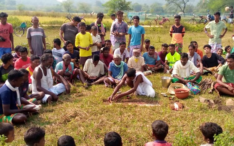 Sohrai Festival: सरायकेला-खरसावां के राजनगर में 5 दिन मनता है सोहराय पर्व, जानें इसकी विशेषता और परंपरा