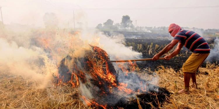 यूपी में पराली जलाने पर बड़ी कार्रवाई, महराजगंज में तीन लेखपाल निलंबित, 10 किसानों को जेल और 28 पर एफआईआर दर्ज