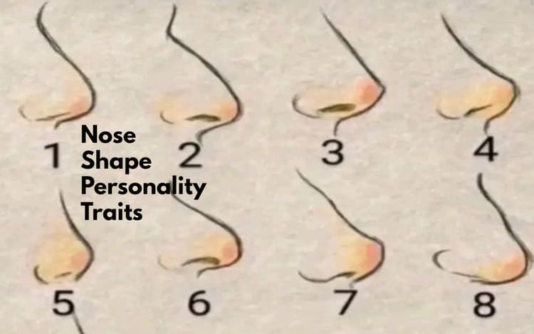 Nose Shape Personality Traits: अपने नाक के आकार से जानिए कैसी है आपकी पसर्नालिटी