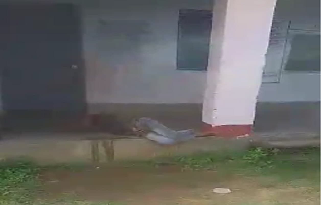 Viral Video News: झारखंड के सरकारी स्कूल में शराब के नशे में धुत टीचर ने की लघुशंका, BEEO ने किया शो कॉज