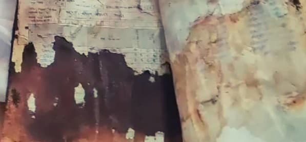 भागलपुर युवक की हत्या से हड़कंप, हाल ही में जेल से छूटकर आया था शख्स