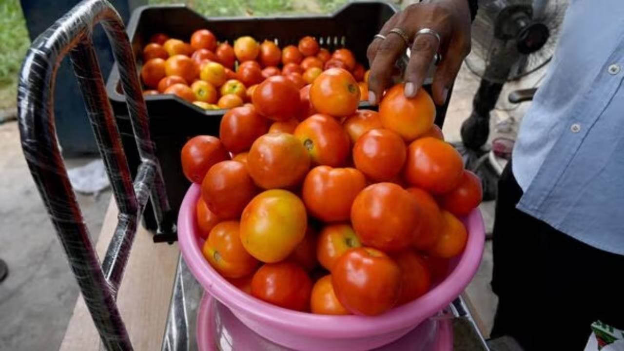 लखनऊ-कानपुर में टमाटर काउंटर शुरू, लोगों को सस्ते रेट पर कराया जा रहा उपलब्ध, यहां रहेंगी मोबाइल वैन