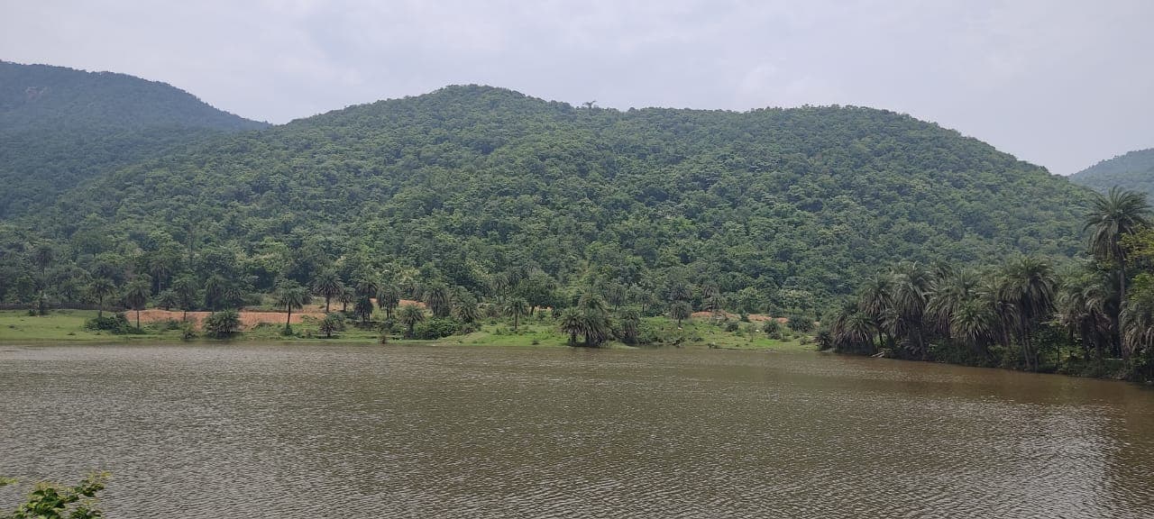 पहाड़ों और हरियाली की गोद में बसे टुंडी की खूबसूरती कश्मीर से कम नहीं, देखिए PICS पहाड़ों और हरियाली की गोद में बसे टुंडी की खूबसूरती कश्मीर से कम नहीं, देखिए PICS