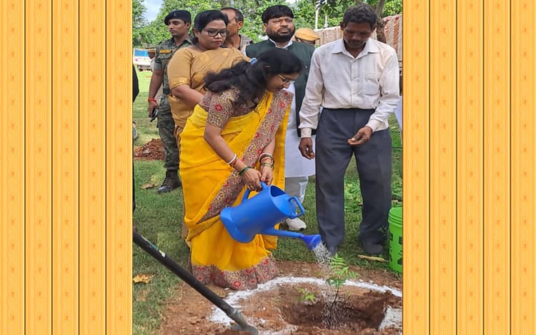 झारखंड : गुमला में 4.40 लाख हेक्टेयर जमीन पर वृक्षारोपण की तैयारी, हाथियों को रोकने के लिए लगेंगे बांस के पौधे