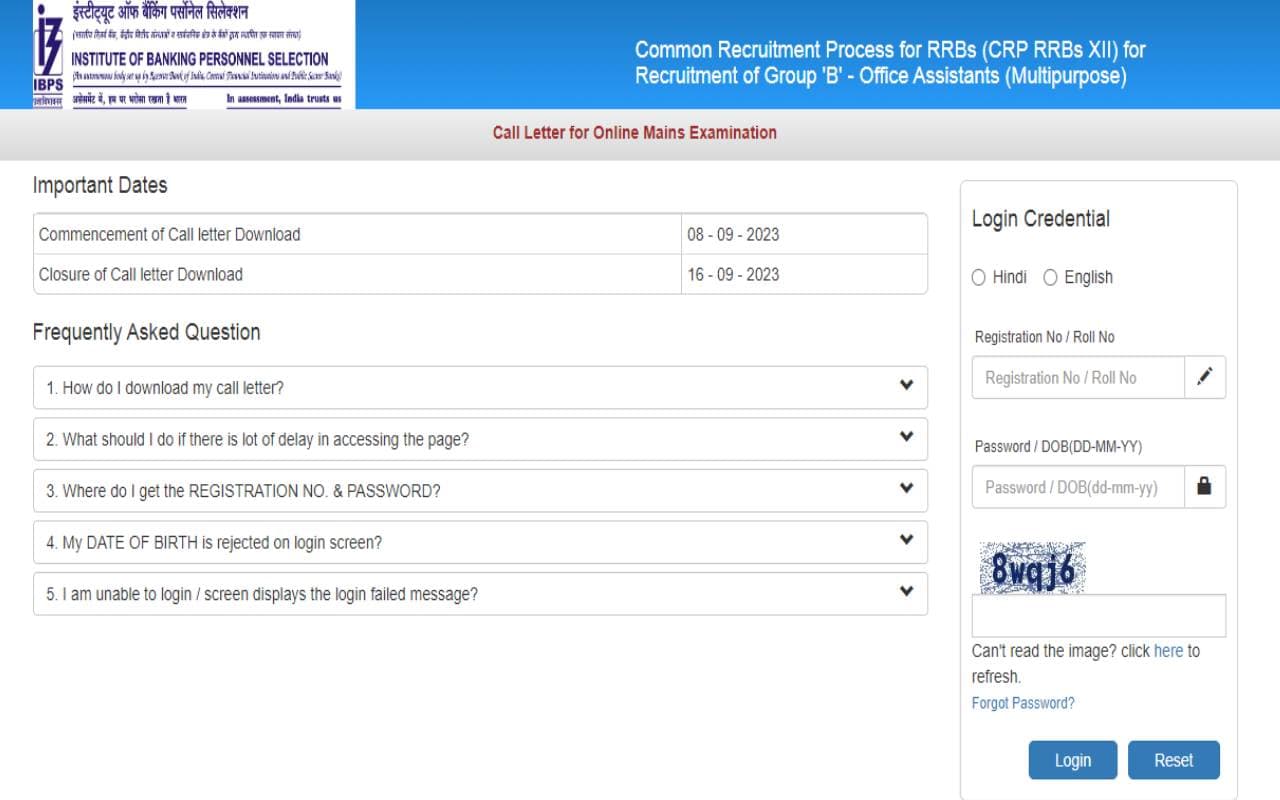 IBPS RRB Clerk Main Admit Card 2023: एडमटि कार्ड ibps.in पर जारी है, ऐसे करें डाउनलोड