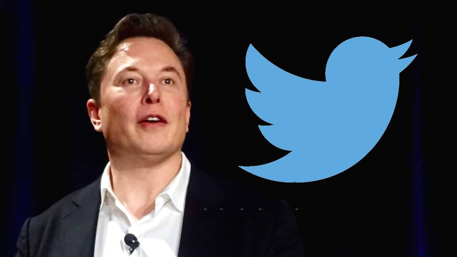 Twitter बिना किसी फेरबदल के दैनिक ट्वीट से जुड़ा डेटा Elon Musk के साथ करेगा शेयर