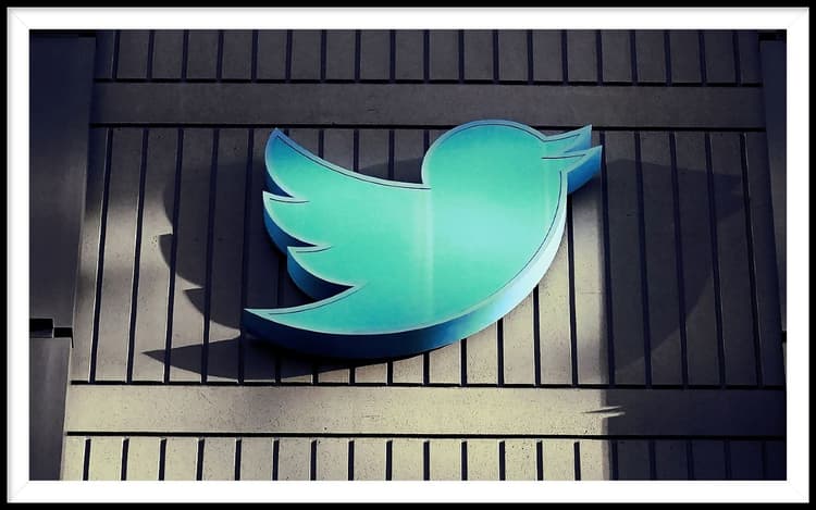 Twitter Lay Offs: ट्विटर इंडिया में भी हुई छंटनी, कई विभागों में काम कर रही पूरी टीम को कंपनी से निकाला