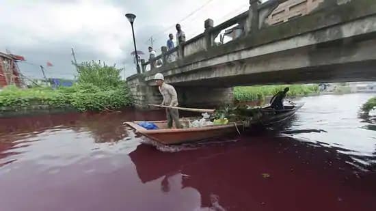 बिहार में नदियों की स्वच्छता के लिए करना होगा इंतजार, दस फीसदी गंदे पानी को भी नहीं किया जा रहा ट्रीट बिहार में नदियों की स्वच्छता के लिए करना होगा इंतजार, दस फीसदी गंदे पानी को भी नहीं किया जा रहा ट्रीट