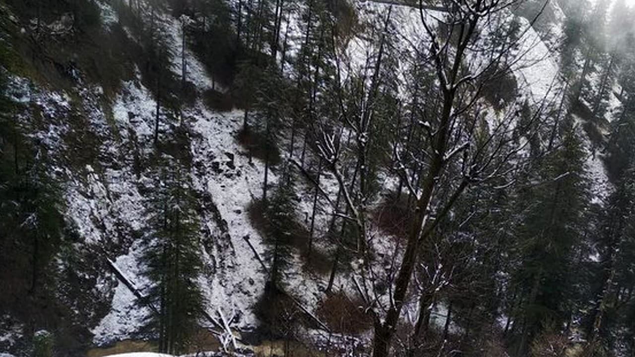 बेमौसम हिमपात से शीतलहर, जम्मू-कश्मीर की चिनाब घाटी के खानाबदोशों को नुकसान का डर