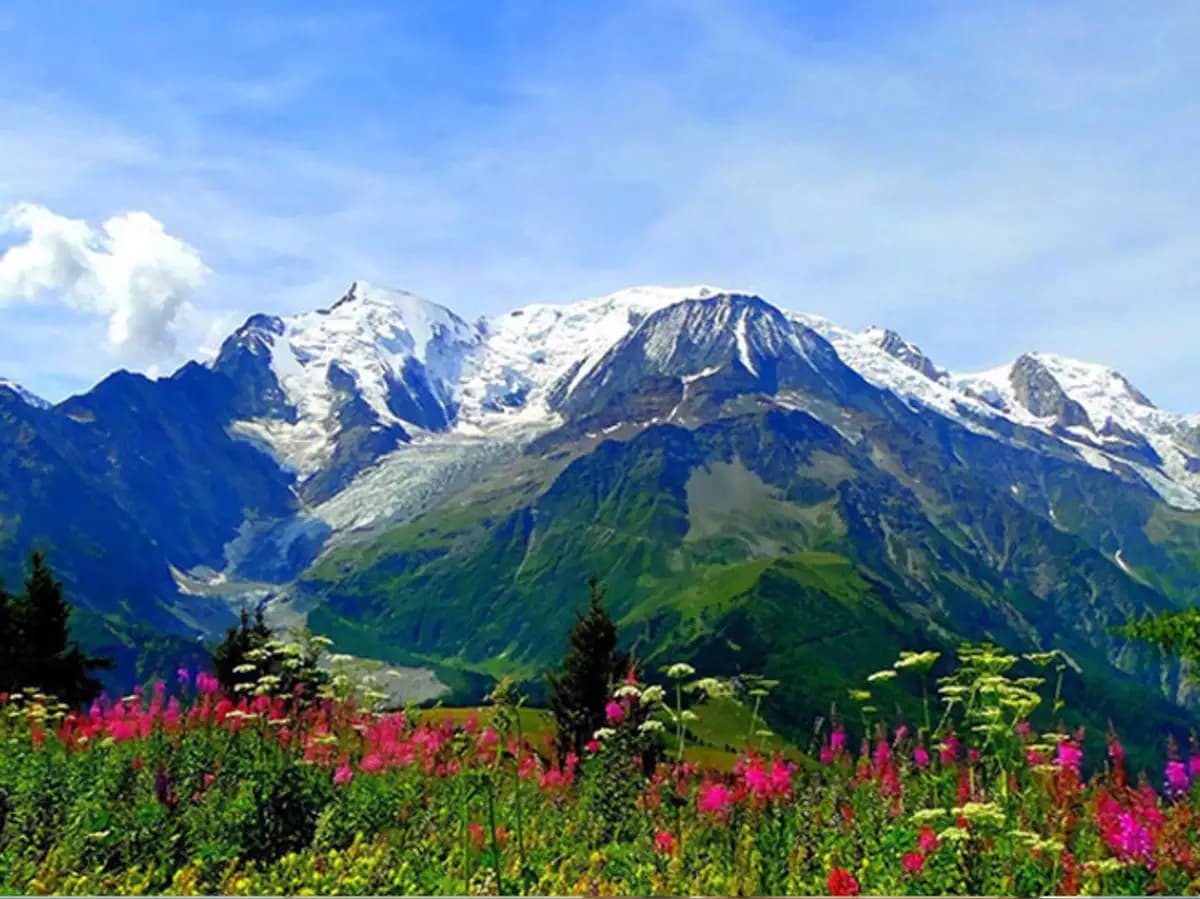 पहाड़ों की सैर पर निकला है बोकारो के पांच चिकित्सकों का ग्रुप, मानभंजन से संदकफू तक किया ट्रैकिंग