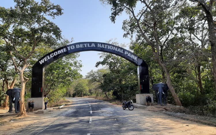 पलामू : पीटीआर के 50 वर्ष पूरे होने पर बेतला से अमृत महोत्सव का आगाज, नौ अप्रैल को होगा भव्य आयोजन