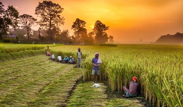 क्लाईमेट स्मार्ट विलेज योजना के तहत होगा तकनीकी प्रदर्शन : डॉ विनोद