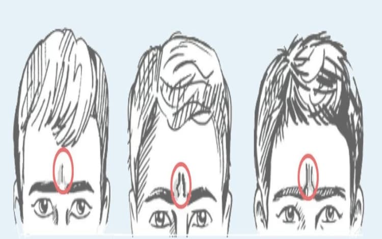 Personality Traits: माथे की रेखाएं आपके बारे में क्या कहती है? जानिए कैसी है आपकी पर्सनालिटी और भविष्य