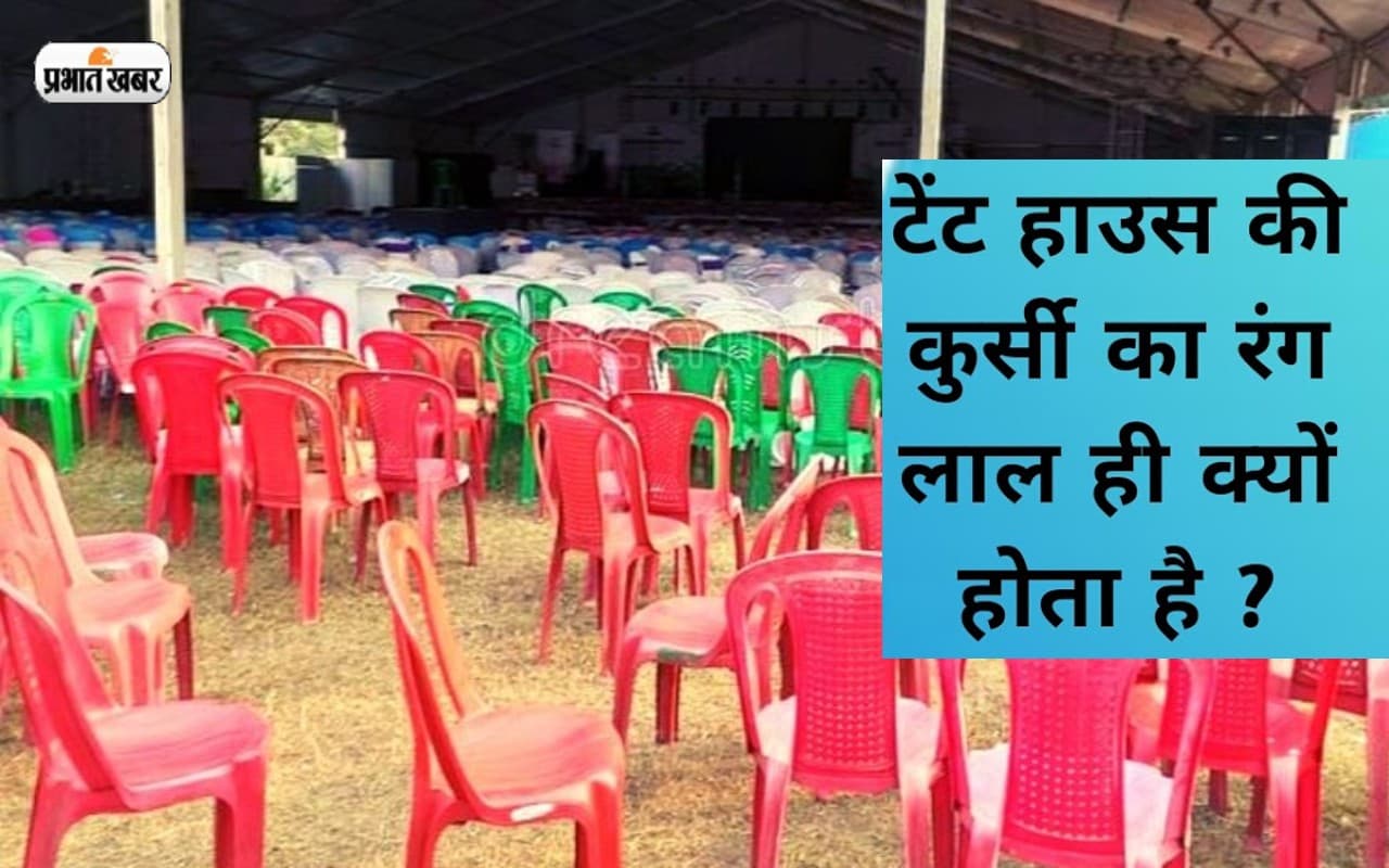 Interesting fact: जानिए आखिर टेंट हाउस की कुर्सियों का रंग क्यों होता है लाल, जानें कारण