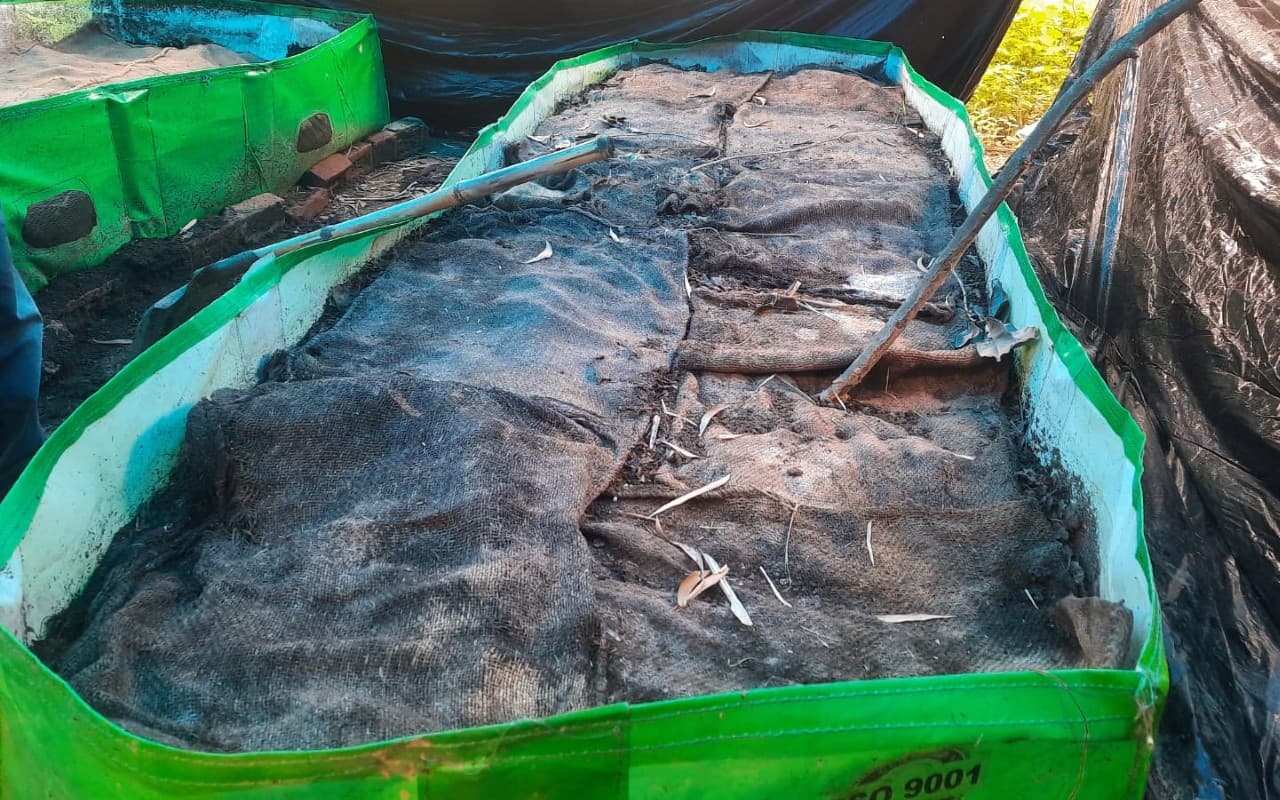 बिहार: जेल में बने खाद से लहलहाएंगे खेत में लगे फसल, कचरे से वर्मी कंपोस्ट खाद तैयार करेंगे कैदी