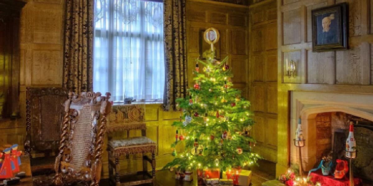 Christmas Tree Decorations Ideas 2021 : क्रिसमस ट्री सजाने के लिए यहां से लें यूनिक आइडिया