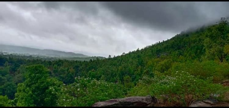 Jharkhand Weather Forecast : झारखंड के किन जिलों में मेघ गर्जन के साथ होगी बारिश, वज्रपात की भी आशंका, मौसम विज्ञान विभाग ने जारी किया येलो अलर्ट
