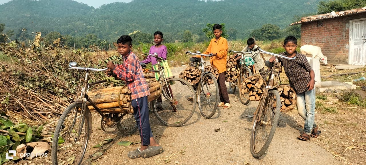 कैसे संवरेगा बच्चों का भविष्य? घर की माली हालत सुधारने के लिए जलावन की लकड़ी बेचने को हैं मजबूर