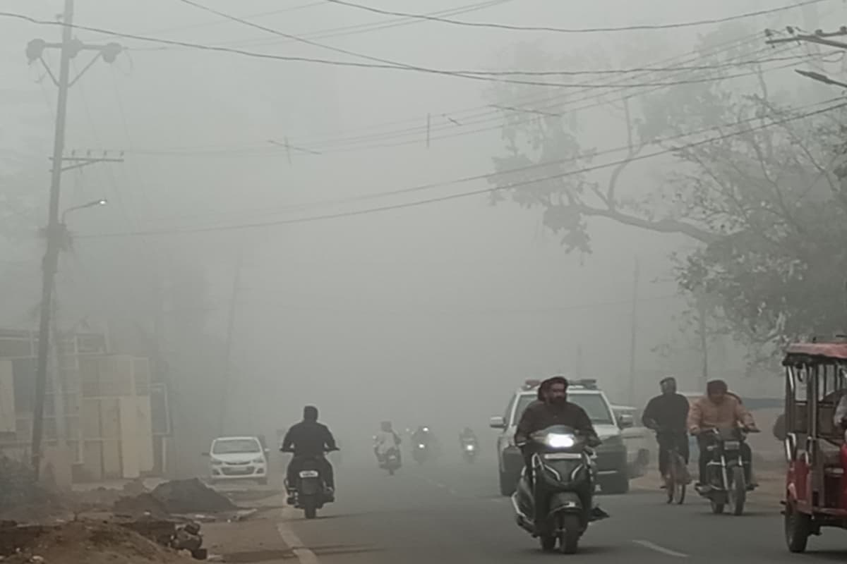 हजारीबाग: ठंड और कोहरे से फिलहाल राहत नहीं, दिन में भी सताएगी कनकनी, धूप रहेगी हल्की