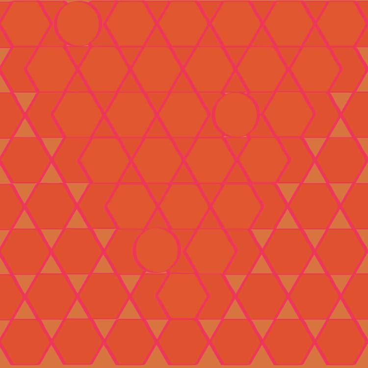 5 सेकेंड में खोजें इस तस्वीर में है कितने सर्कल, मान जाएंगे तेज दिमाग के साथ है पारखी नजर