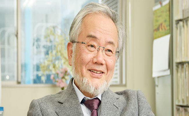जापान के योशिनोरी ओहसुमी को स्वास्थ्य के लिए मिलेगा नोबेल पुरस्कार