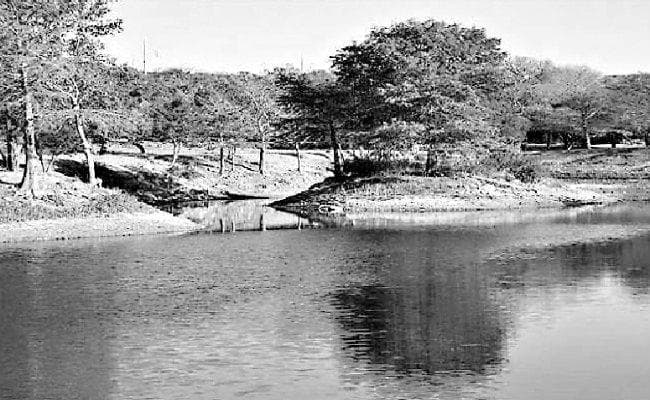 पर्यावरण विमर्श का जनपक्ष